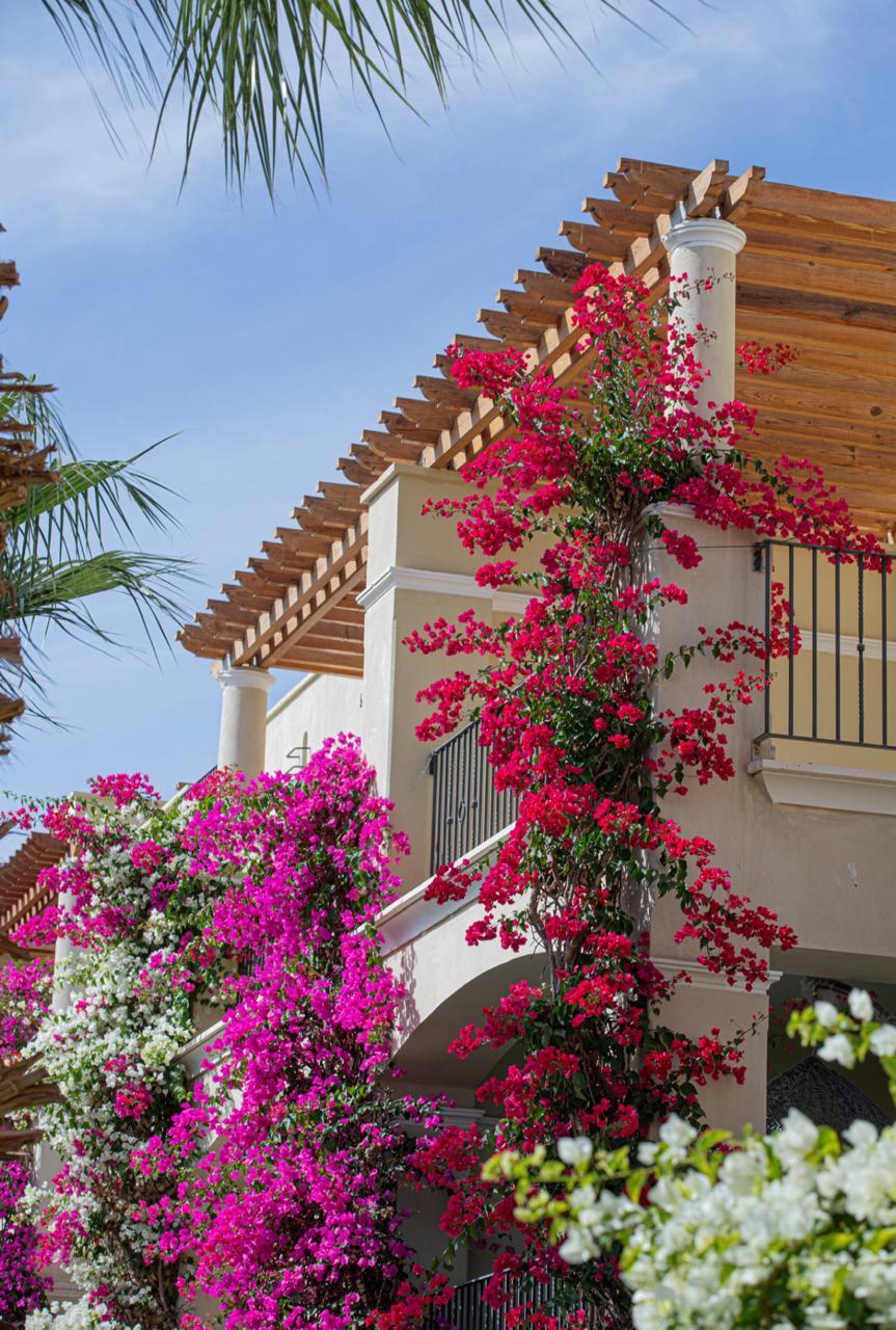 Mansions El Gouna